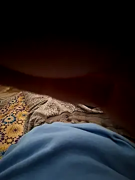 mehdi haway online show from 10.31.25