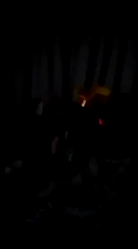 bogbosdick online show from 02.22.25