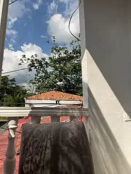 Snapshot of Pretty_Isadora chatting on 01.16.25 Pretty Isadora online show from 01.16.25