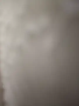 Snapshot of indianbull3684 chatting on 12.11.24 indianbull3684 online show from 12.11.24