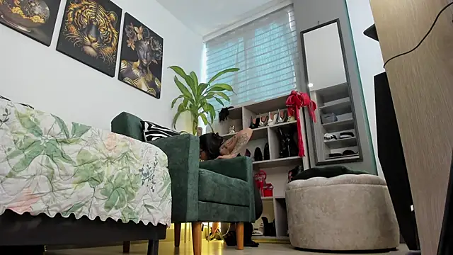 mia backer online show from 02.24.25