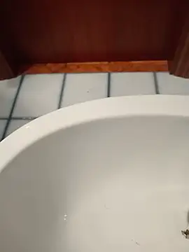 Durovoglioso2 online show from 03.15.26