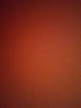 Snapshot of mendelicius chatting on 01.11.25 mendelicius online show from 01.11.25