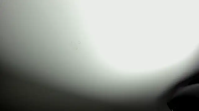 selene red  online show from 10.08.25