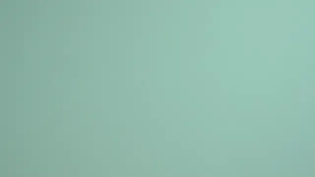 LessySmith online show from 11.21.25