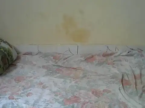 Snapshot of Zenath_ chatting on 02.27.26 Zenath online show from 02.27.26