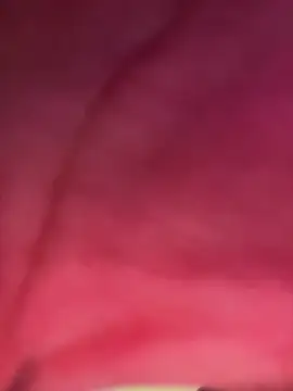 Snapshot of izanmiller2001 chatting on 10.08.25 izanmiller2001 online show from 10.08.25