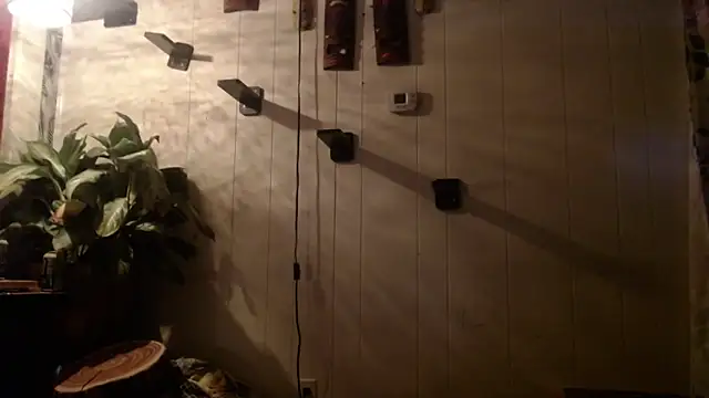 UnCuTupTheBuTT online show from 11.16.25