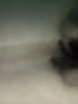 alexmoragomez online show from 04.20.26