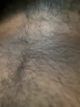 slblackboy12 online show from 03.29.26