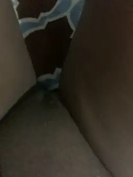 Snapshot of WyvaxxNikkie chatting on 01.23.25 WyvaxxNikkie online show from 01.23.25