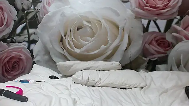 Snapshot of Sexysilverfoxxx chatting on 12.03.24 Sexysilverfoxxx online show from 12.03.24