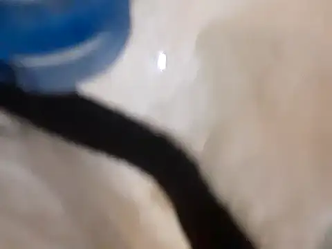 pedrodavid  online show from 03.14.25