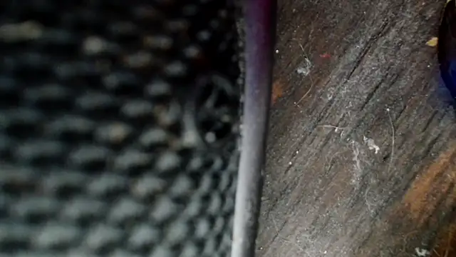 Snapshot of Gigadickman chatting on 12.02.24 Gigadickman online show from 12.02.24