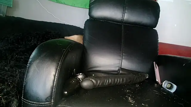 Snapshot of Gigadickman chatting on 12.05.24 Gigadickman online show from 12.05.24