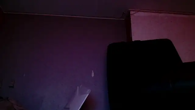 Snapshot of Gigadickman chatting on 12.15.24 Gigadickman online show from 12.15.24