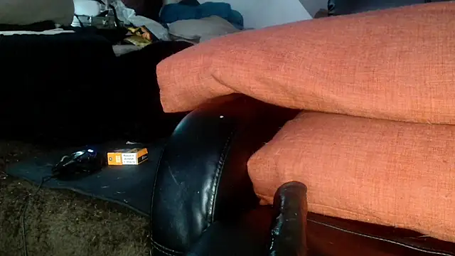 Snapshot of Gigadickman chatting on 12.18.24 Gigadickman online show from 12.18.24