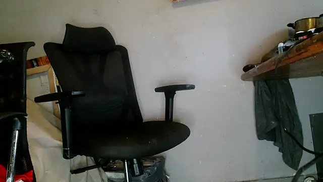 Snapshot of Gigadickman chatting on 01.01.25 Gigadickman online show from 01.01.25