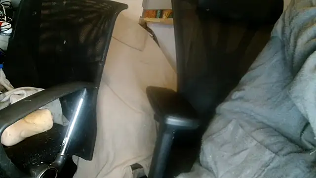 Snapshot of Gigadickman chatting on 01.01.25 Gigadickman online show from 01.01.25