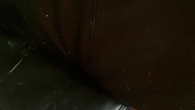 Snapshot of Gigadickman chatting on 01.02.25 Gigadickman online show from 01.02.25