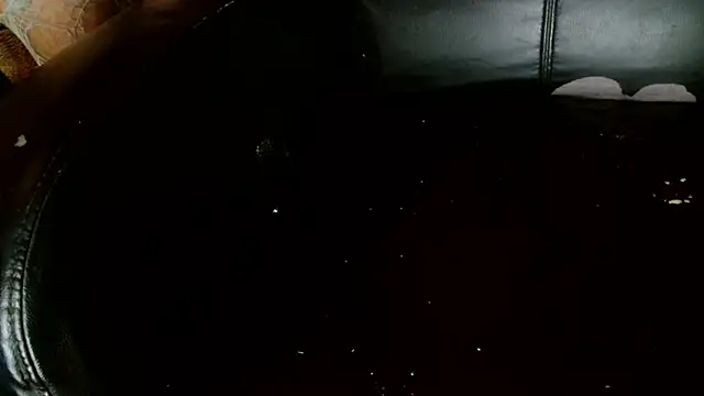 Snapshot of Gigadickman chatting on 01.03.25 Gigadickman online show from 01.03.25