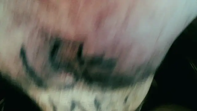 Snapshot of Gigadickman chatting on 01.05.25 Gigadickman online show from 01.05.25