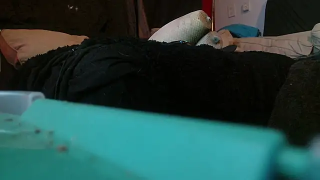 Snapshot of Gigadickman chatting on 01.15.25 Gigadickman online show from 01.15.25