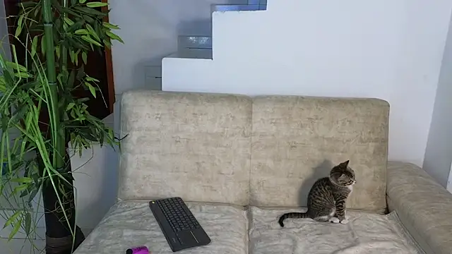 Lorenne Miller online show from 10.20.25