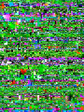 Snapshot of bad-boy-2002 chatting on 10.05.25 bad-boy-2002 online show from 10.05.25