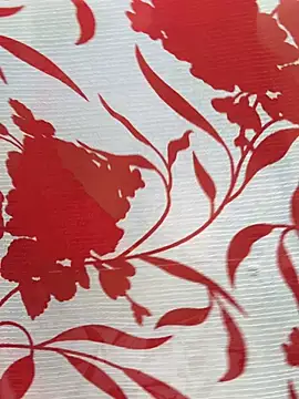 Sexy Evelynn online show from 02.22.26