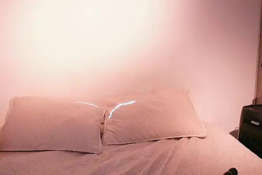 Snapshot of Nicky_and_Blake chatting on 02.02.25 Nicky and Blake online show from 02.02.25