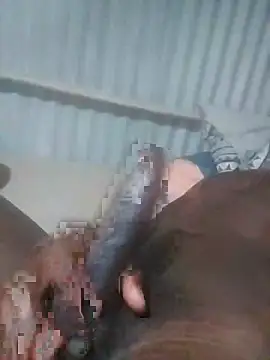 advocate2 online show from 11.08.25