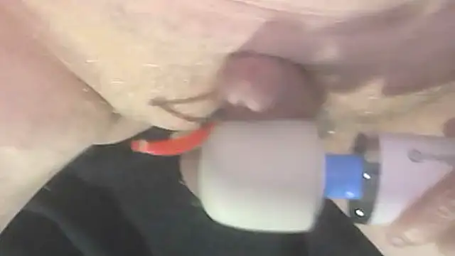 trittico online show from 10.09.25