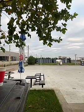 baramadalin online show from 11.06.25