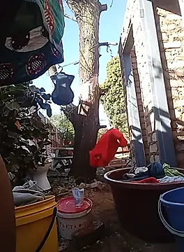 amarrabrown2024 online show from 09.19.25