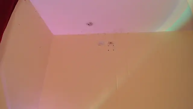 Snapshot of _maiahairy_ chatting on 12.31.24 maiahairy online show from 12.31.24