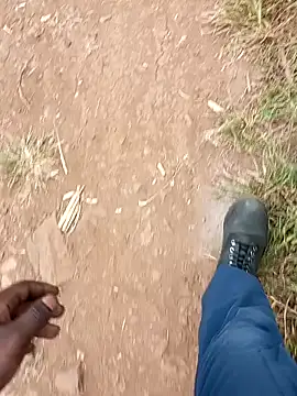 bigdicktaoni online show from 12.11.24