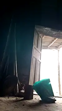 Snapshot of Dina_wet chatting on 12.08.24 Dina wet online show from 12.08.24