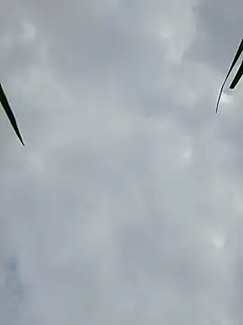 Snapshot of Dina_wet chatting on 12.09.24 Dina wet online show from 12.09.24