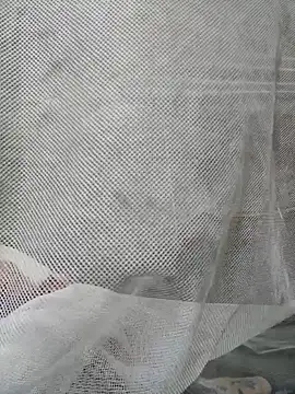 Snapshot of Dina_wet chatting on 12.31.24 Dina wet online show from 12.31.24