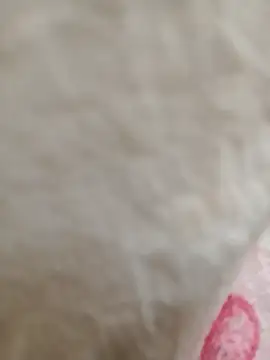 Snapshot of Dina_wet chatting on 01.21.25 Dina wet online show from 01.21.25