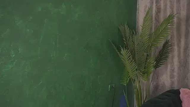 FoxieJullia online show from 02.19.25