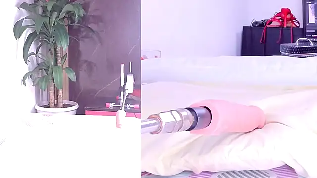 Sophia Lovers01 online show from 03.02.26