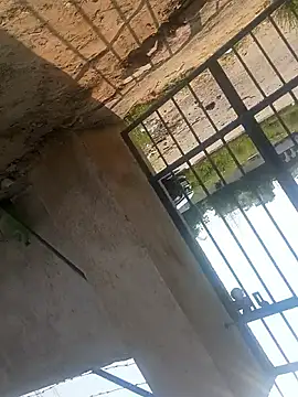 rjxraj online show from 10.23.25