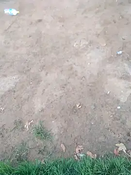 Snapshot of KINGJACKOFF chatting on 12.26.24 KINGJACKOFF online show from 12.26.24