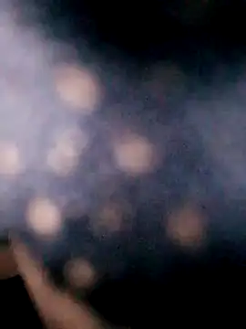 Snapshot of Hotpussy3ox chatting on 09.18.25 Hotpussy3ox online show from 09.18.25