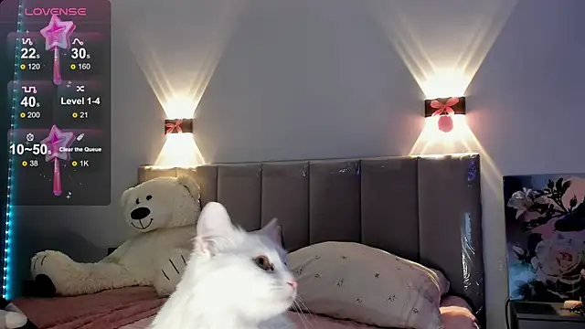 diana nier online show from 09.08.25