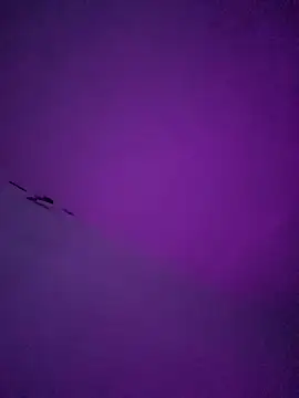 LiosArmando420 online show from 01.06.26