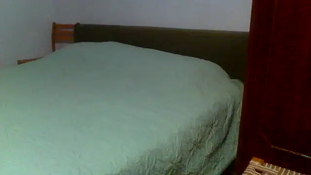 petan33 online show from 09.11.25