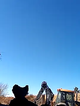 Snapshot of luke_thighwalker2469 chatting on 12.09.24 luke thighwalker2469 online show from 12.09.24